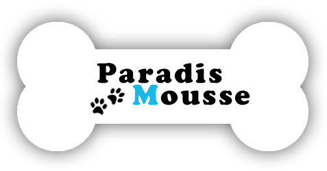Logo du site Paradis Mousse