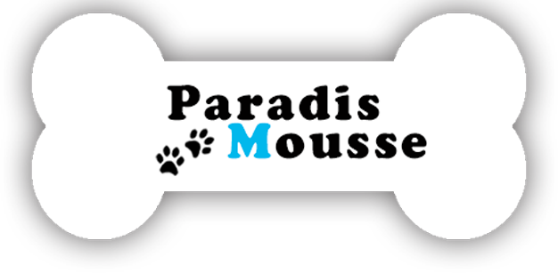 Logo du site Paradis Mousse